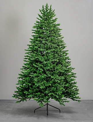 Ель Московская